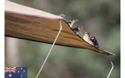 Gordigear Roof Tent 165 Plus For 3 People With Awning 165 X 320 Cm Gray -Quality Camping Shop 585663 3986115