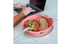 Koziol Connect Separee Menu Plate With Lid 1.5 Liters Nature Leaf Green -Quality Camping Shop 731750 4917074 1