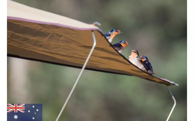 Gordigear Roof Tent Plus For 3 People With Storage Area 165 X 320 Cm Gray 4 Gordigear Roof Tent Plus For 3 People With Storage Area 165 X 320 Cm Gray - Image 2